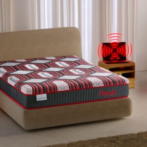 Goodorming con tecnología Pranan